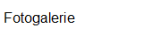  Fotogalerie