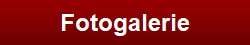 Fotogalerie