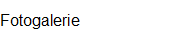 Fotogalerie